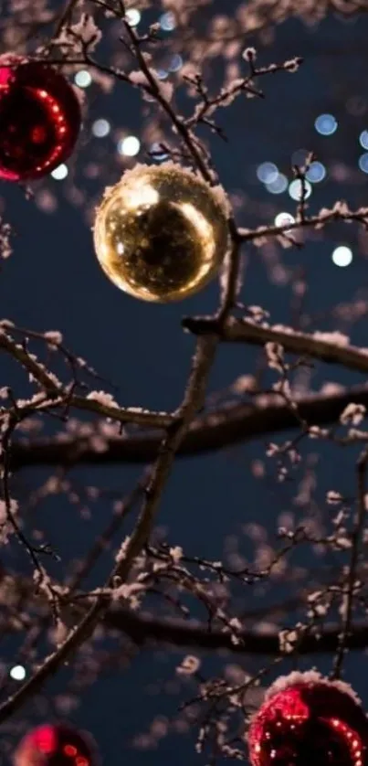 Festive ornaments on snowy branches at night.