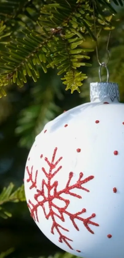 Christmas ornament with red snowflake design on a green pine branch.