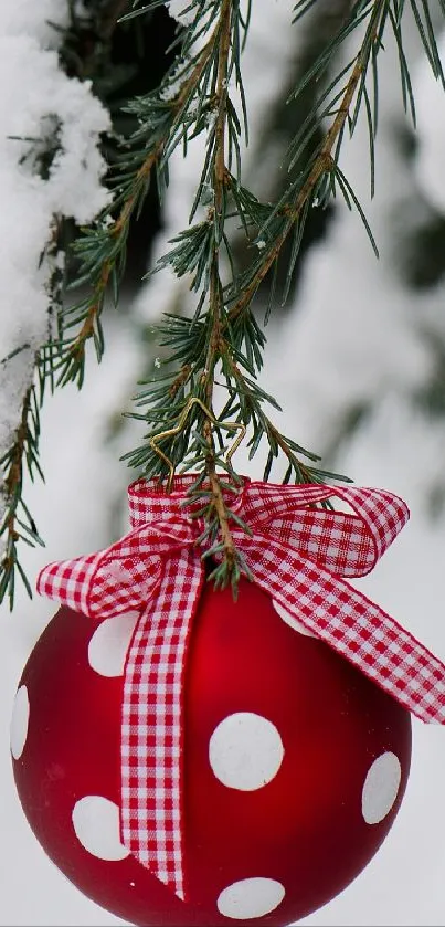 Red polka-dot ornament with gingham ribbon on snowy pine branch.