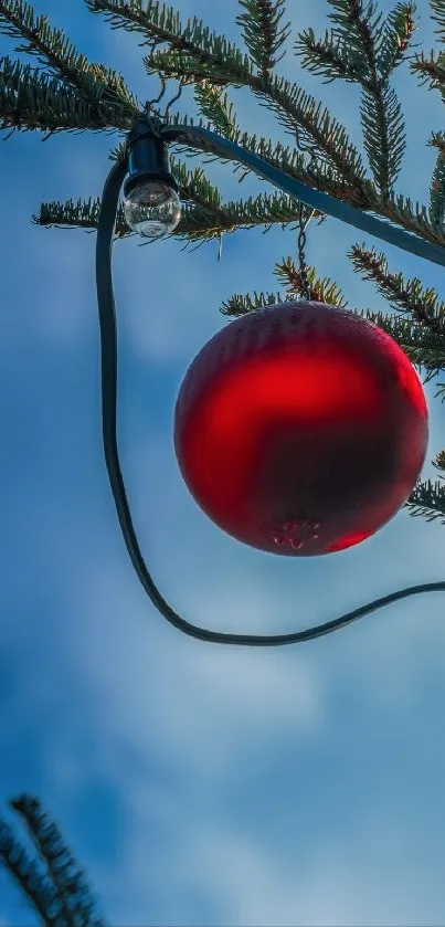 Red ornament hanging from pine branch against blue sky.