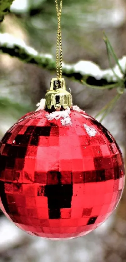 Red Christmas ornament hanging on a snowy pine branch.