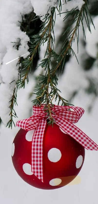 Red polka dot ornament on snowy evergreen branch.
