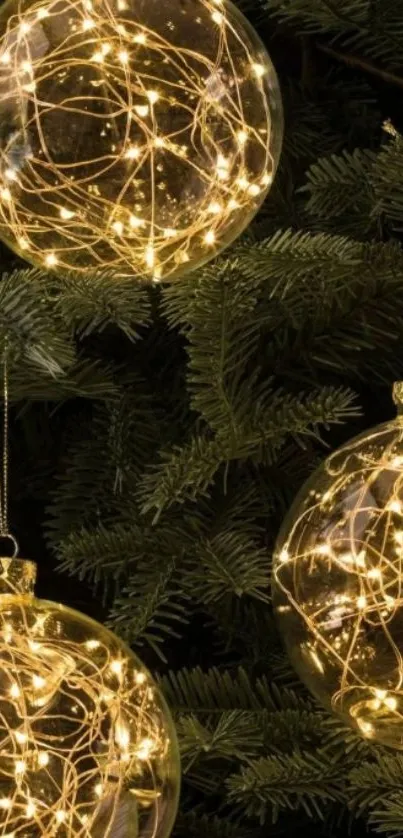 Glowing Christmas ornaments on pine branches, perfect for festive wallpaper.