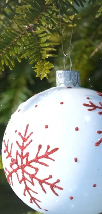 White Christmas ornament with red snowflakes hanging on a tree.