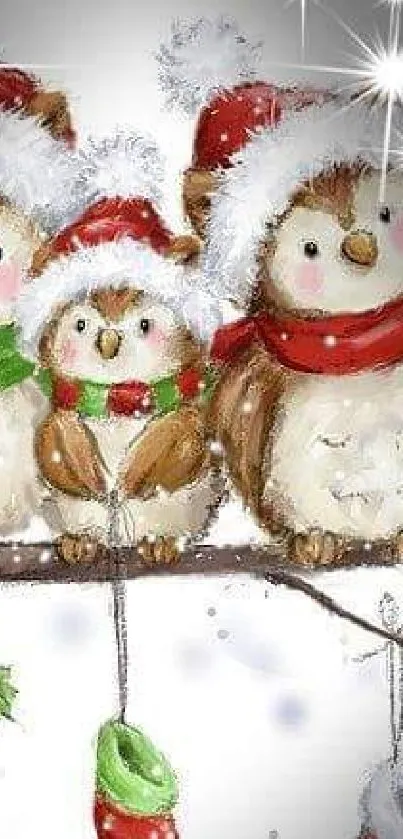 Three cute owls in Santa hats on a festive branch.