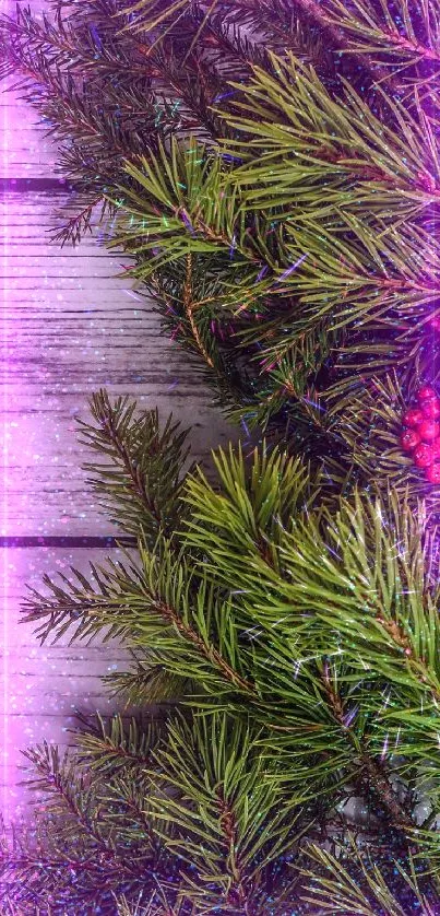 Festive pine branches and purple lights on a rustic wooden background.