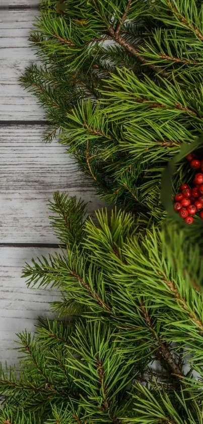 Green pine branches with red berries on a rustic wooden background.