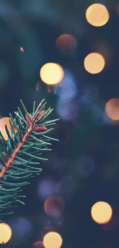 Pine branch with golden bokeh lights in the background.