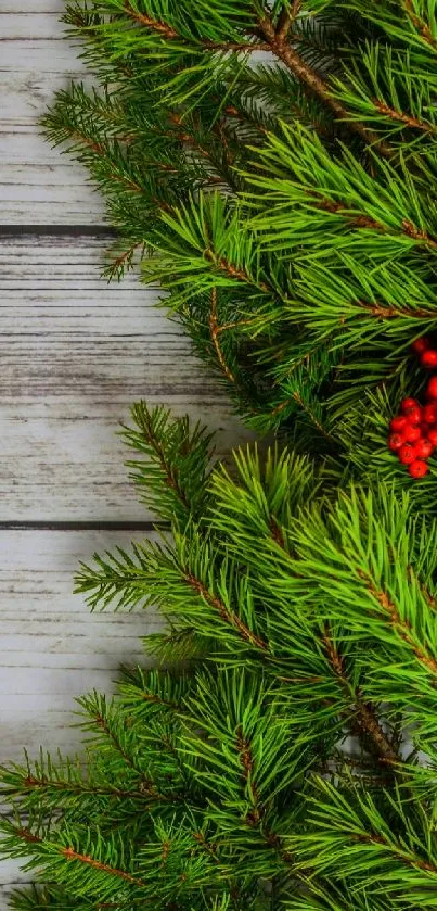 Festive wallpaper with pine branches and red berries on wooden background.