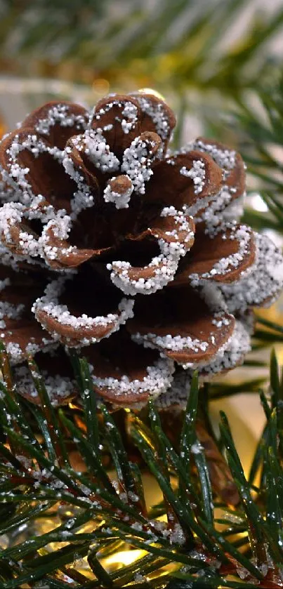 Frosted pinecone with festive lights and ornaments.