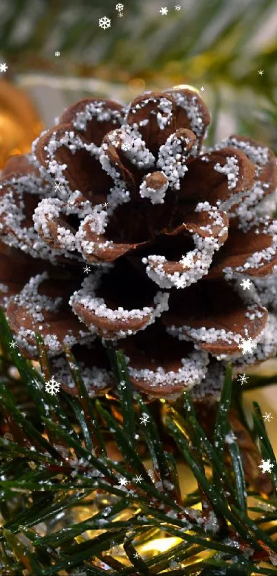 Festive pinecone and golden ornaments on green branches.