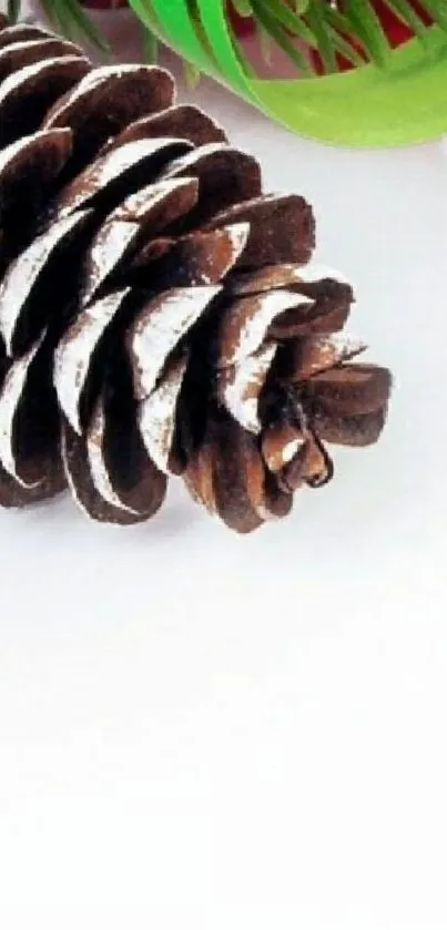 Festive pinecone with green accent mobile wallpaper.