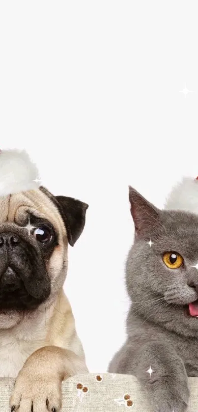 Festive wallpaper with a pug and cat in Santa hats.