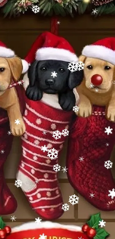 Three puppies in Christmas stockings with snowflakes.