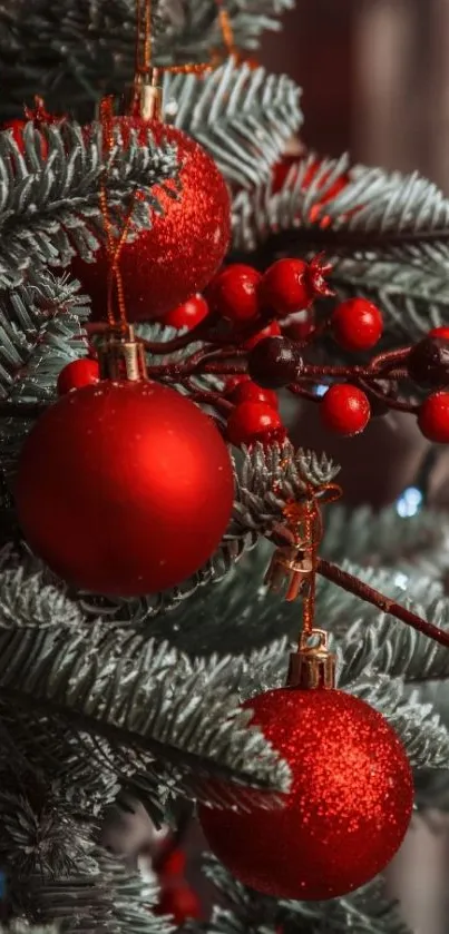 Red Christmas ornaments on pine branches.