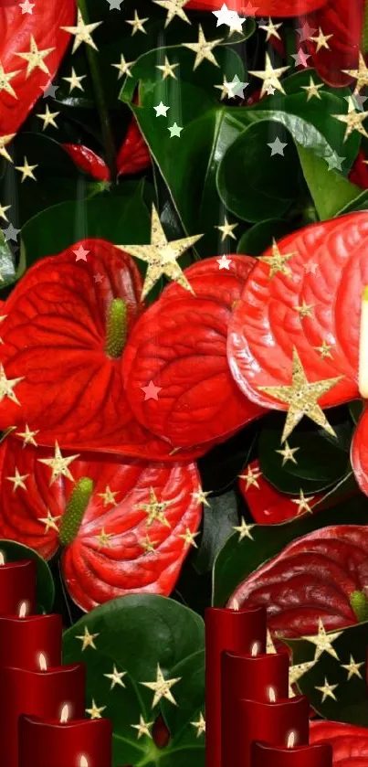 Red anthurium flowers with stars and candles in festive design.