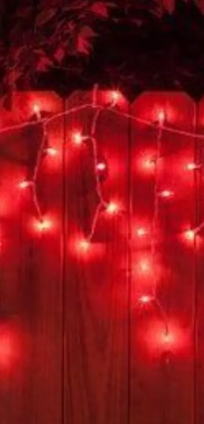 Vibrant red fairy lights on a wooden fence.