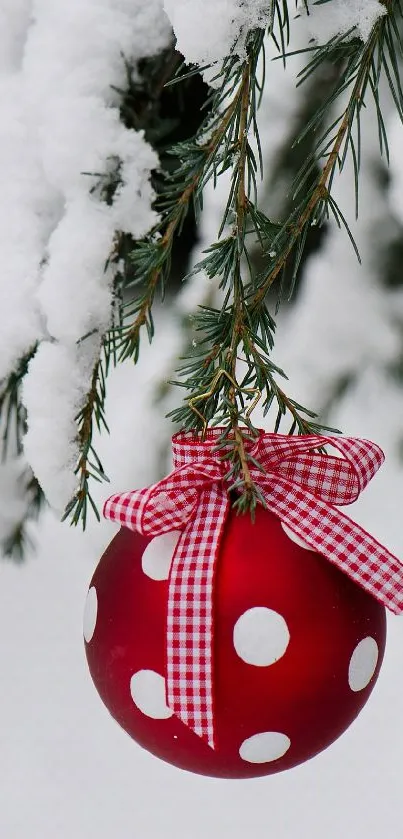 Red ornament with ribbon on snowy pine branch.