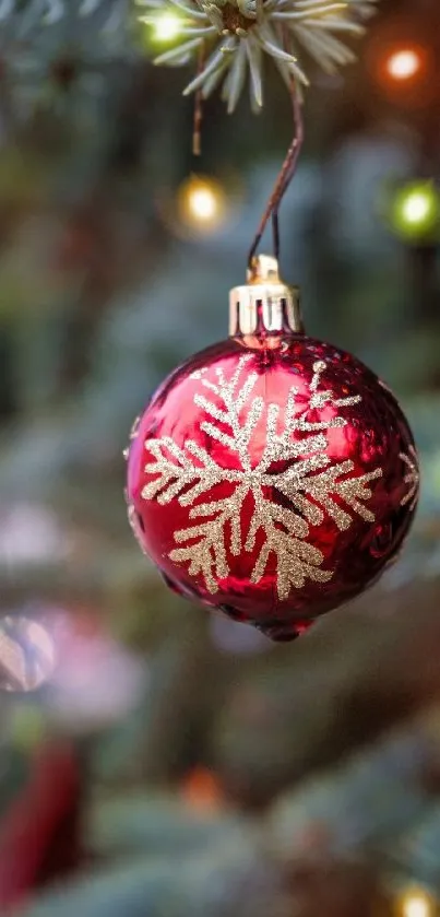 A close-up of a red Christmas ornament with gold snowflakes on a tree.