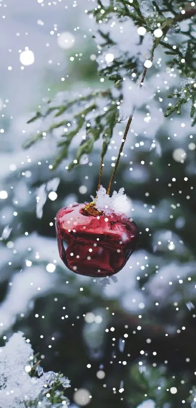 Red ornament hanging on snowy pine tree with festive background.