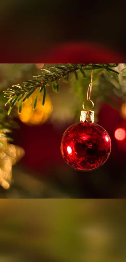 Festive red ornament hanging on a pine branch, perfect for holiday wallpaper.