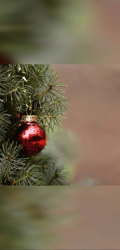 Red ornament on green pine; festive mobile wallpaper.