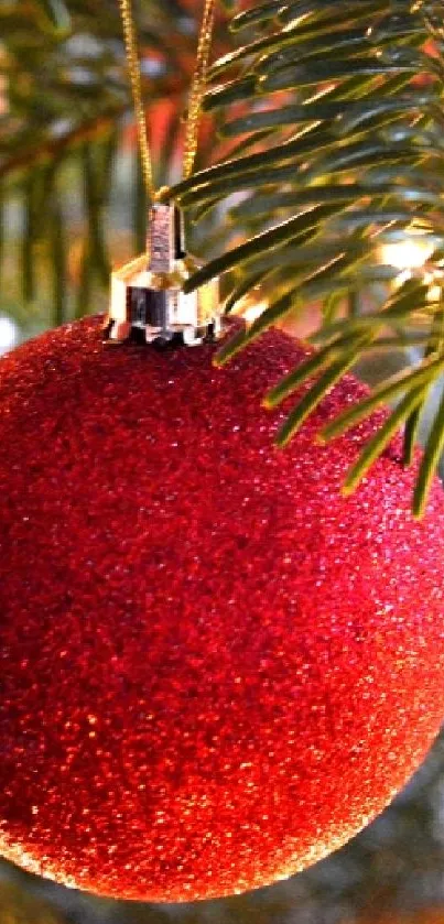 Festive red ornament hanging on pine branch with twinkling lights.