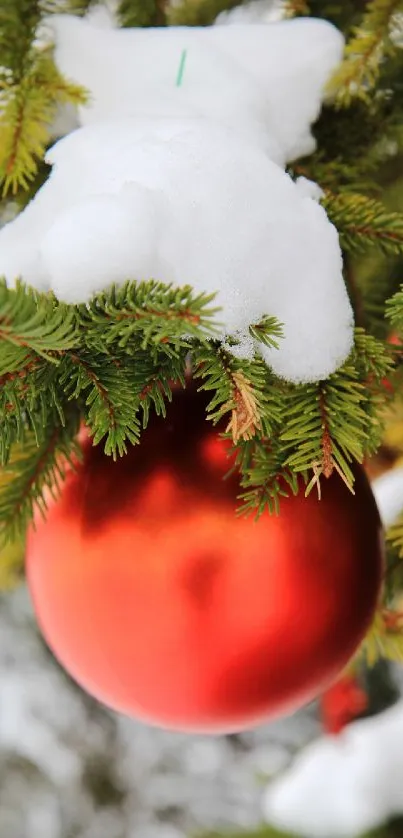 Red Christmas ornament in snowy pine branches.