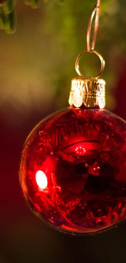 Bright red Christmas ornament hanging on a tree branch. Perfect for holiday wallpaper.