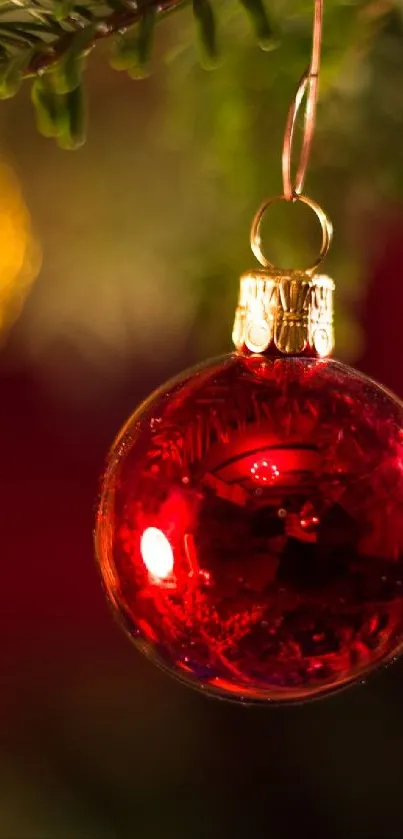 Red Christmas ornament hanging on pine branch with festive lights.