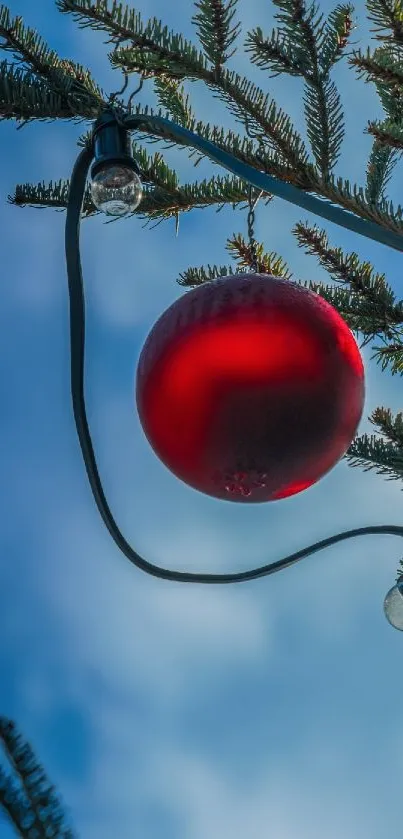 Festive red ornament hanging from a tree against a blue sky.