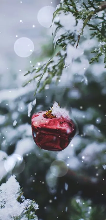 Red ornament on snowy branches, festive mobile wallpaper.