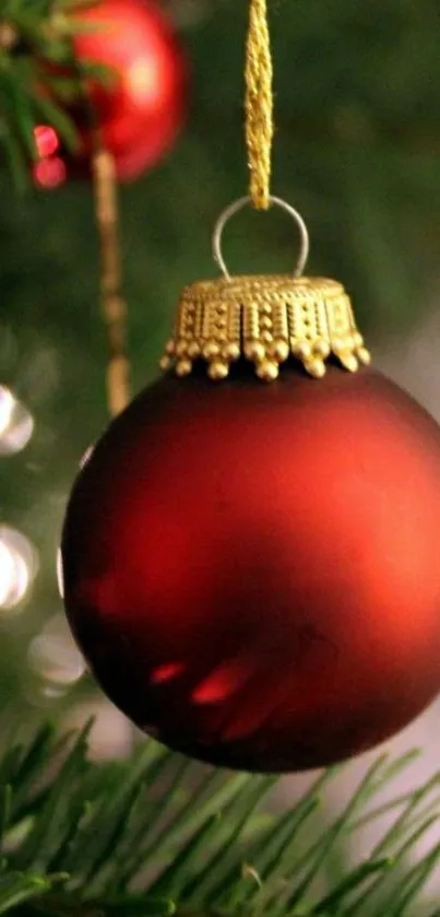 Close-up of red Christmas ornament on tree.