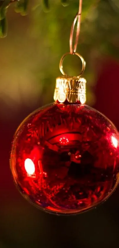 Red Christmas ornament hanging on tree branch.