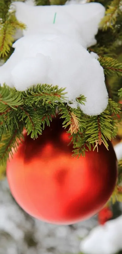 Red Christmas ornament with snow-covered pine branches.