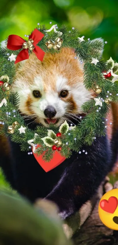 Cute red panda with festive wreath accessory.