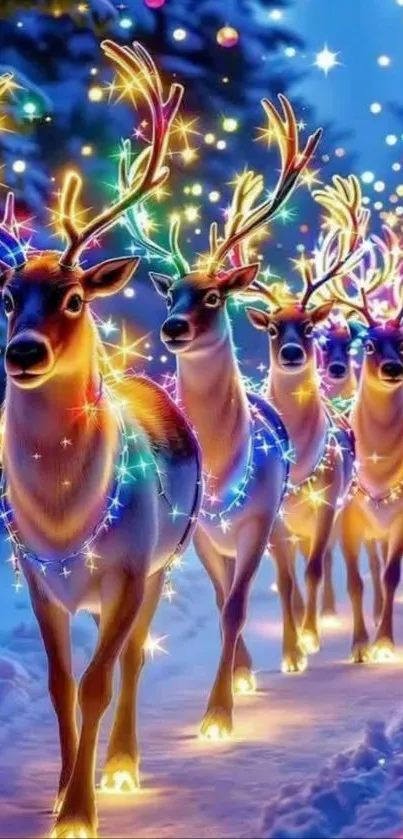 Festive reindeer adorned with colorful Christmas lights.
