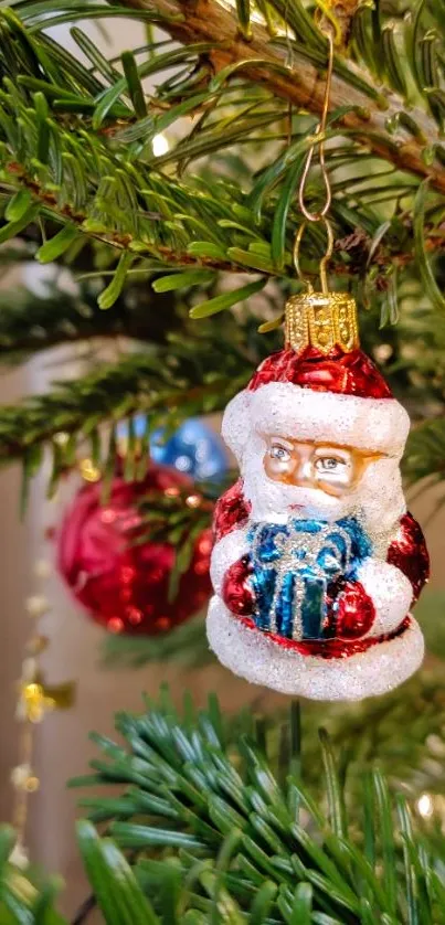 Close-up of a Santa ornament on a Christmas tree branch.