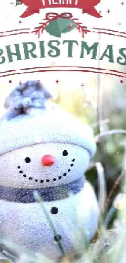 Snowman in frosty field with Merry Christmas banner.