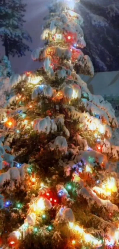 Snowy Christmas tree with colorful lights in winter night.