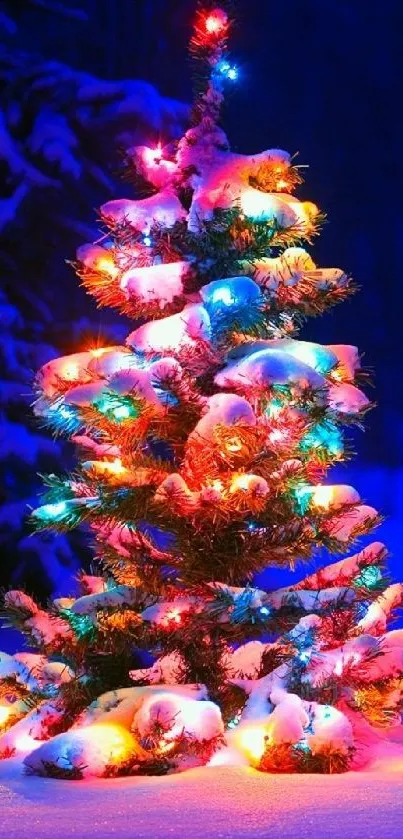 Snow-covered Christmas tree illuminated with colorful lights.