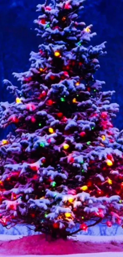 Snowy Christmas tree with colorful lights.