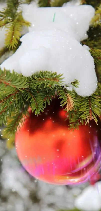 Red bauble ornament on snowy pine branch during winter.