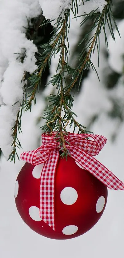 Red and white polka dot ornament on snowy evergreen branches.