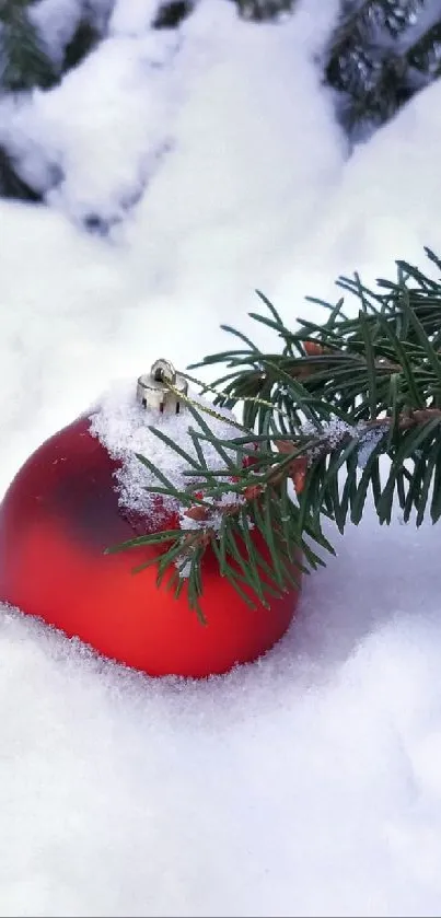 A red Christmas ornament with pine in snow.