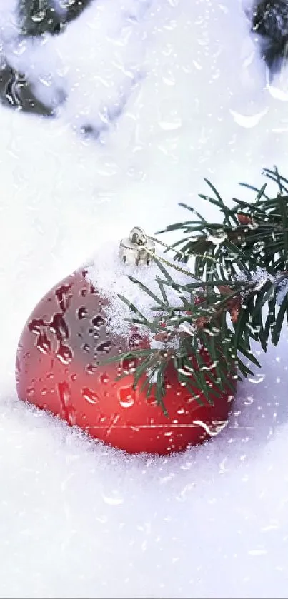 Snowy scene with red ornament and pine.