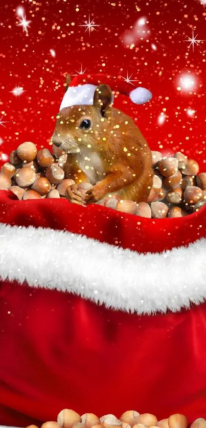 Squirrel in Santa hat with nuts on a festive red background.