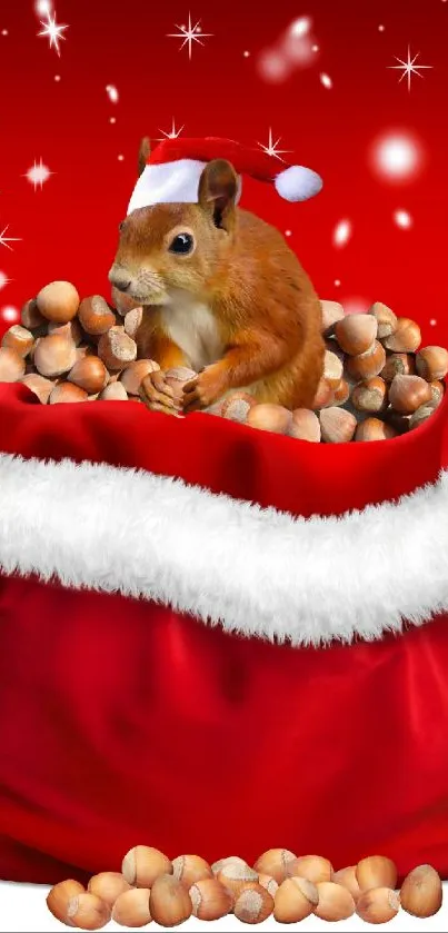 Festive squirrel in a Santa-style red bag with nuts on a red background.