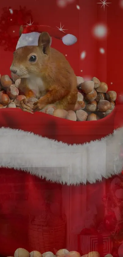 Squirrel in Santa hat with nuts on festive red background.