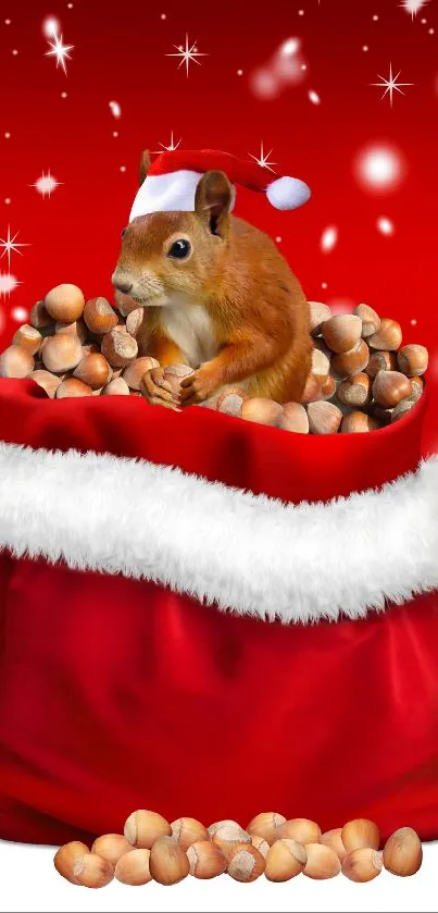 Festive wallpaper with squirrel in Santa sack surrounded by nuts and red background.